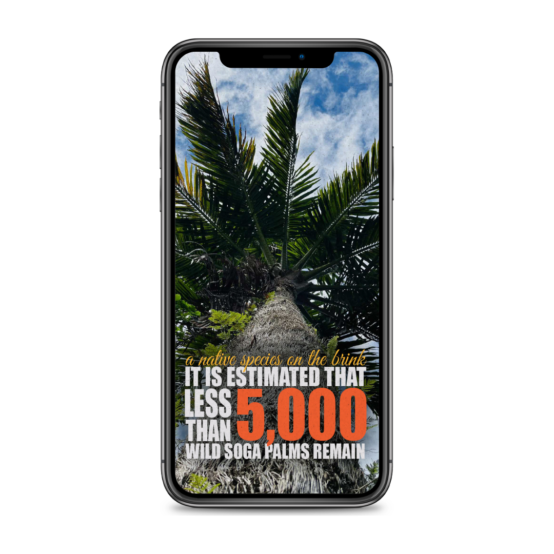 Neutral Instagram Marketing Template with Phone Mock-up Masterclass copy