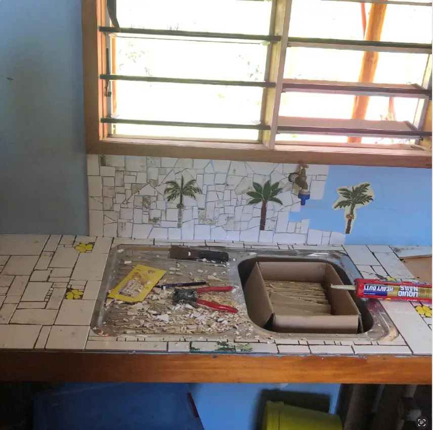 Custom mosaic for kitchen sink
